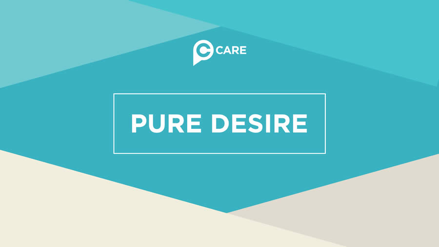 Pure Desire Pure Desire